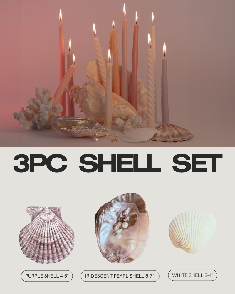 ring display shell set jewelry photo prop